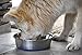 Our Pets Durapet Premium Rubber-Bonded Stainless Steel Dog Bowl 4.5 Quart, 13 Cups, 10.9