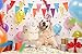 MOO&NOO Dog Birthday Hat for Girls Happy Birthday Tiara Crown with Rose Flowers and Gold Glitter 0-9 Figures for Party(Pink)