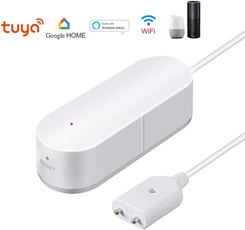 google home leak detector