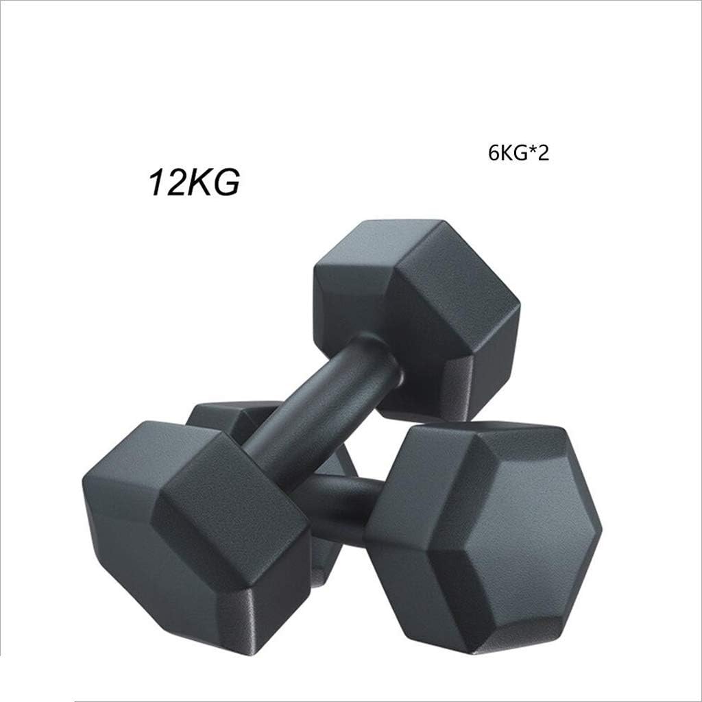 AILI Dumbbell Dumbbells Rubber-Coated Hexagonal Dumbbells for Weight Lifting Core Training Can Do Push-ups Ergonomic Comfortable Grip Strength Two Dumbbells 12kg Dumbbell Dumbbells Exercise & Fitness