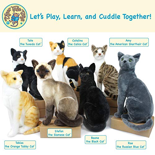 Rae The Russian Blue Cat 12 Inch Stuffed Animal Plush Gray Cat by Tiger Tale Toys Pricepulse