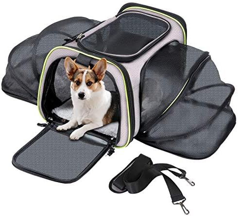 Q-Hillstar Pet Carrier Airline Approved, Expandable Foldable Soft-Sided Dog Carrier, 3 Open Doors, 1 Reflective Tapes, Pet Travel Bag Safe for Cats and Dogs