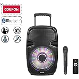 STARQUEEN 12" Wireless Bluetooth Portable Speaker, PA System for Home and Outdoors with Built-in USB/SD/FM Radio Function, Mic/Guitar Jack, Black