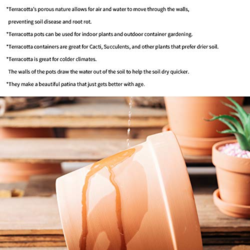 Terra Cotta Pots with Saucer- 17-Pack Clay Flower Pots with Saucers, Mini Flower Pot Planters for Indoor, Outdoor Plant, Succulent Display, Great for Plants,Crafts,Wedding Favor(3.1 inches)