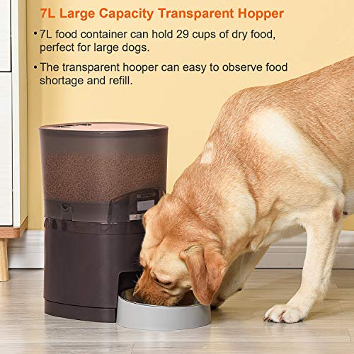 WellToBe Automatic Cat Feeder, 7L Pet Feeder Transnsparent Food
