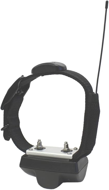 dt systems border patrol tc1