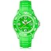 Ice-Watch Men's SI.GN.B.S.09 Sili Collection Green Plastic and Silicone Watch