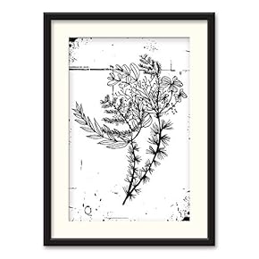 Black Framed Canvas Wall Art Nordic Style Plant Home Artwork Decoration for Living Room, Bedroom - 23x31 inches