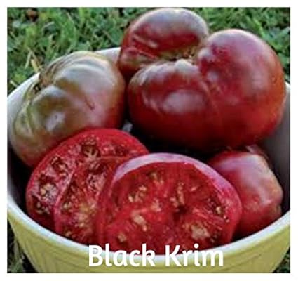 100 Black Krim Tomatensamen