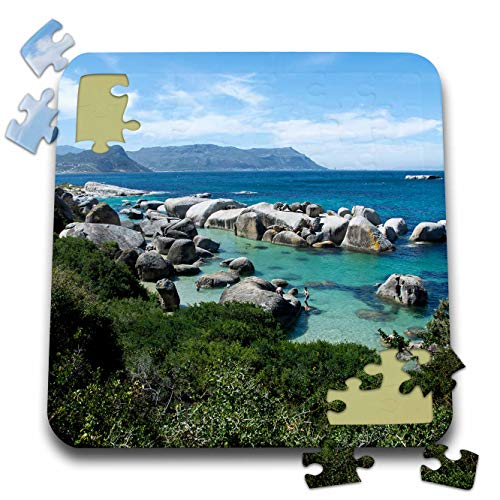 3dRose Danita Delimont - South Africa - South Africa, Cape Town, Simons Town, Boulders Beach. - 10x10 Inch Puzzle (pzl_312509_2)