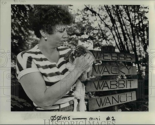 1984 Press Photo Sharon Webb Wabbit Woman Rabbitry Breeding Stock - ora93552