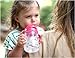 b.box Sippy Cup with Innovative Weighted Straw | Easy-Grip Handles | Color: Raspberry | 8 oz. | BPA-Free | Phthalates & PVC Free | Dishwasher Safe
