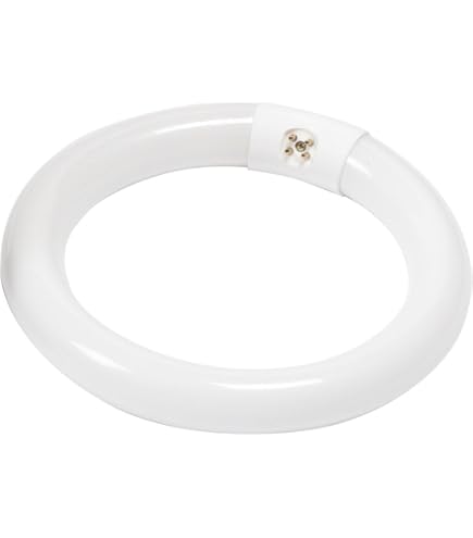 Lot De 2 Ampoules Fluorescentes Circulaires FC8T9/CW - 22W, 8 Pouces T9, Culot G10q - Blanc Froid 6400K, 1350 Lumens