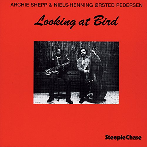 Looking At Bird