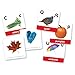 Expansive set includes at least 5 cards for every letter