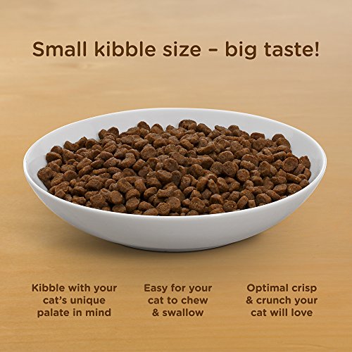 Rachael Ray Nutrish Zero Grain Natural Indoor Dry Cat Food, Whitefish