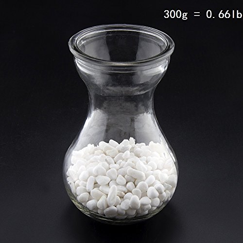 3 ZUINIUBI+Aquarium+Succulent+Decoration+Landscape