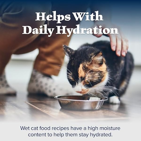 BLUE BUFFALO WILDERNESS HIGH PROTEIN, NATURAL ADULT PATE WET CAT FOOD VARIETY PACK, CHICKEN, SALMON, DUCK 3-OZ CANS (12 COUNT- 4 OF EACH FLAVOR)