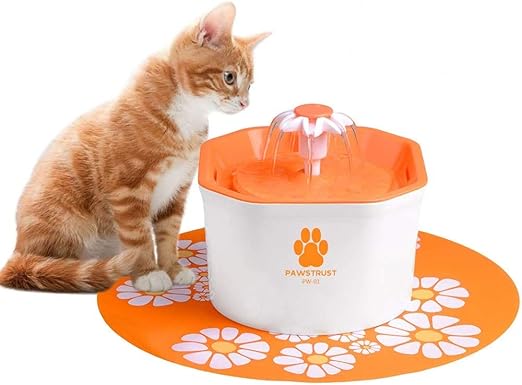 amazon cat fountain filters
