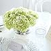 Butterfly Craze Green Artificial Hydrangeas - Faux Silk Flowers for Wedding Bouquets, Fake Flower Arrangements, Home and Office Decorations - 3 Stems per Bundle