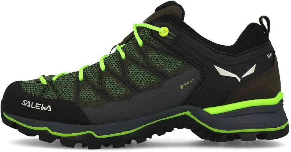 salewa ms mtn gtx