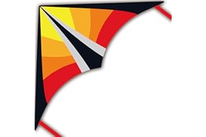 Lanrui Delta Beginner Kite for Kids & Adults, Easy to Fly Beach Kite