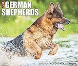 Just German Shepherds 2020 Box Calendar (Dog Breed Calendar) by