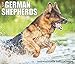 Just German Shepherds 2020 Box Calendar (Dog Breed Calendar) by
