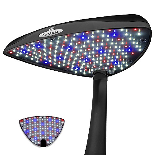 AeroGarden 6 - Black (901016-1200) - Image 7