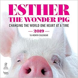 Esther the Wonder Pig 2019 12 x 12 Inch Monthly Square Wall Calendar by Hachette, Inspiration Motivation Designer Pig Animals (Multilingual Edition) Esther the Wonder Pig 2019 12 x 12 Inch Monthly Square Wall Calendar by Hachette, Inspiration Motivation Designer Pig Animals (Multilingual Edition)