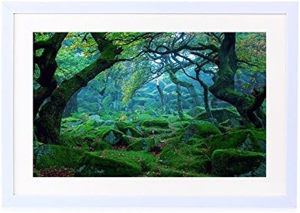 Nature Landscape Forest Mist Rocks Moss Green - Art Print White Wood Framed Wall Art Picture 24x16 inches Framed