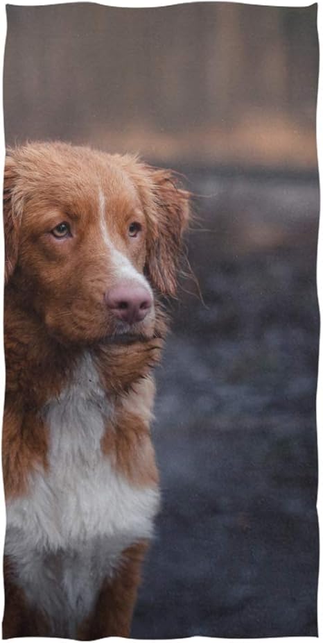 nova scotia duck tolling retriever stuffed animal