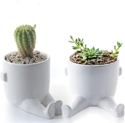 Amazon Co Jp Kozitas ミニマリスト 小さな多肉植物プランター 脚付きポット ミニルームデコレーション フラワー インドアプランター テラリウム サボテン ハーブ 植物 花 Koz Wht Pair ホーム キッチン