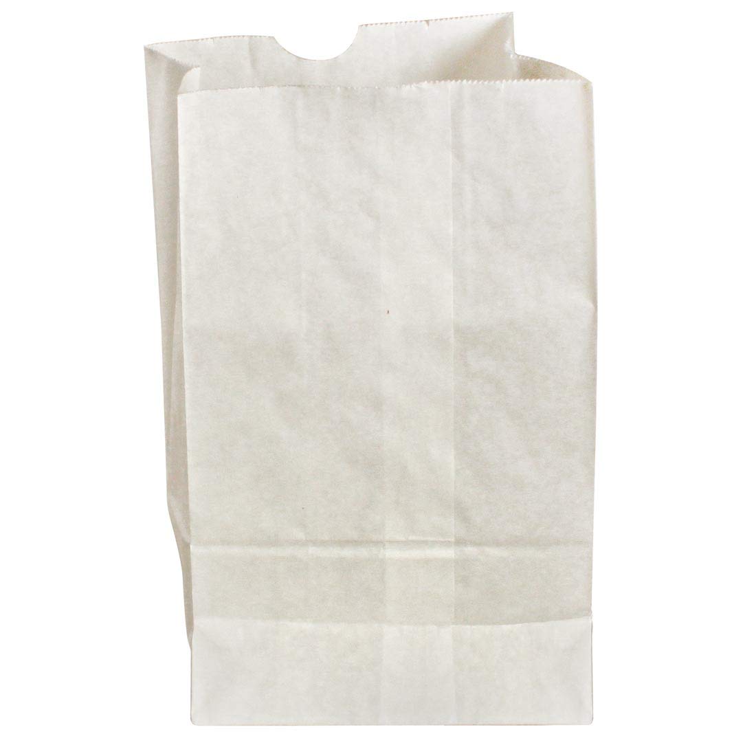 Pacon® Kraft Bags, 6”x3-5/8”x11”, White, 100 Bags/Pack, (72020)