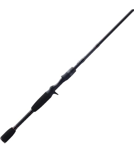 Amazon.com : Daiwa AIRX702MHFB Aird-X 10-20 lb Test Rod, Black