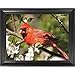 Cardinal 3D Poster Wall Art Decor Framed Print | 14.5x18.5