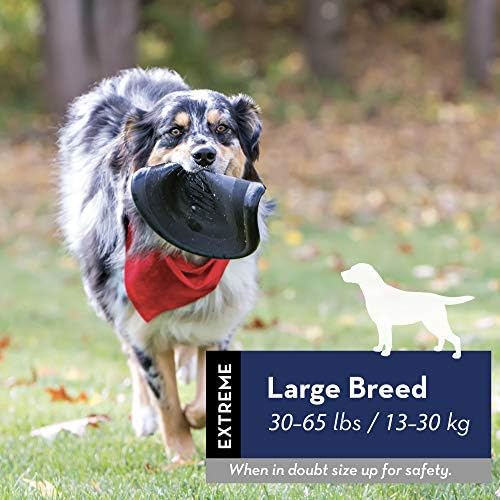 kong frisbee extreme