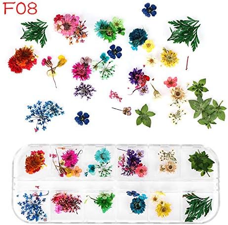Nail Art 3d Dried Dry Natural Flower Glow Glitter Professional Nail Art Decorations Mix Design Nail Decor Accessories for Women(F08)