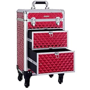 large makeup trolley case