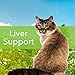 Milk Thistle for Cats - Milk Thistle Liver Detox Support, Organic Herb - Pet Wellbeing Vet-Formulated Holistic Supplement - 2oz (59 ml)