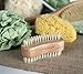 Urban Spa Nail Brush for the Ultimate Manicure and Pedicure, Clean and Remove Calluses
