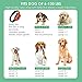 Premier Pet Bark Collars, 2019 Best Anti Bark Collar for Small Large Dogs, Smark Dog Training & Behavior Aids, Rechargeable Adjustable Dog Training Collars, Barking Detection, Waterproofthumb 4