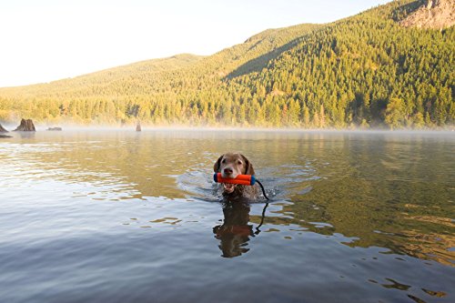 Chuckit! Amphibious Bumper Fetch and Float Dog Toy, Small (Assorted Colors)