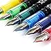Thornton's Office Supplies Disposable Fountain Pens, Fine Point, Assorted Colors, Pack of 12