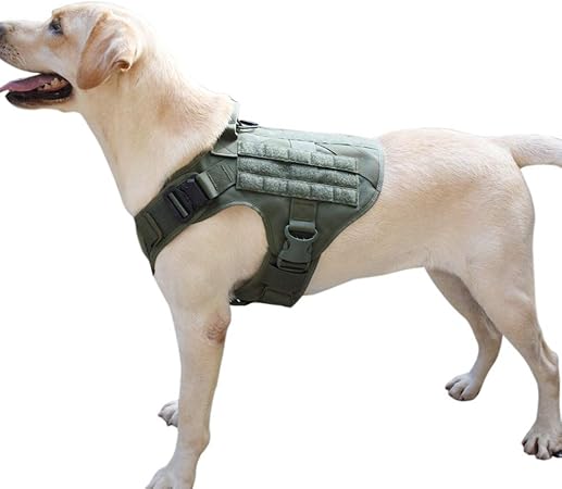 amazon dog harness with handle