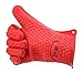 Big Time BBQ Silicone Heat Resistant Waterproof Non Slip Grill Gloves