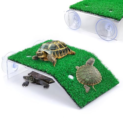 Keedolla Turtle Resting Basking Platform