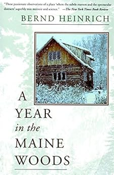 Amazon Com A Year In The Maine Woods Ebook Bernd