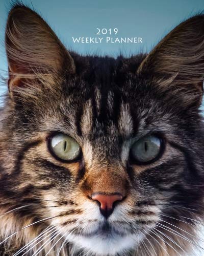 2019 Weekly Planner: 2019 8