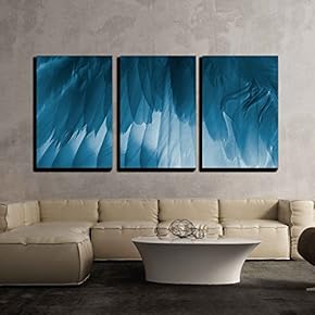 3 Piece Canvas Wall Art - The Bird